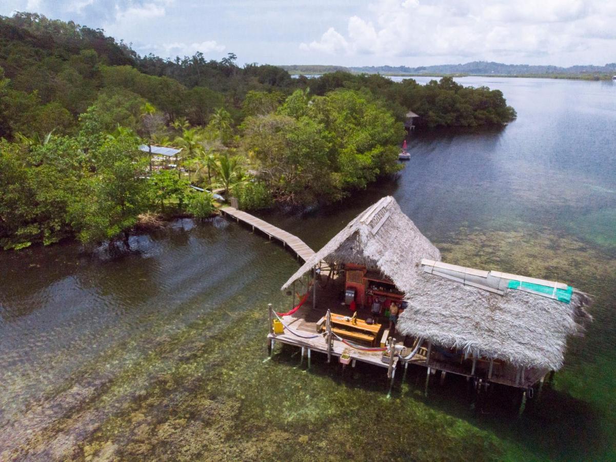 Cocovivo Hotell Bocas del Toro Exteriör bild