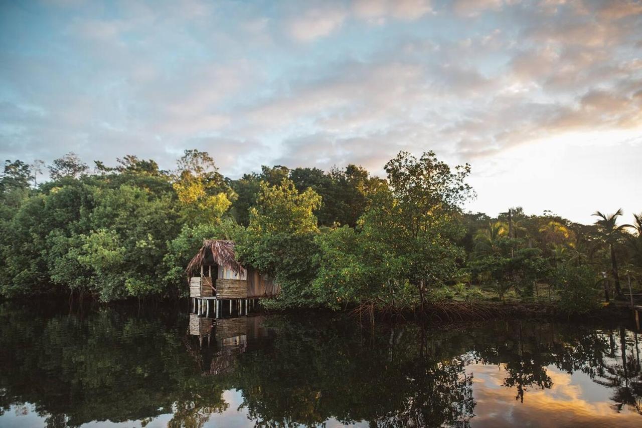 Cocovivo Hotell Bocas del Toro Exteriör bild