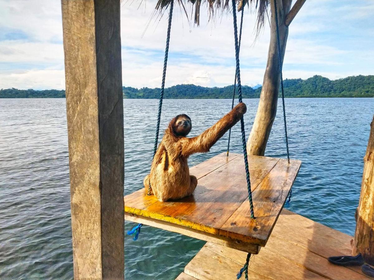Cocovivo Hotell Bocas del Toro Exteriör bild