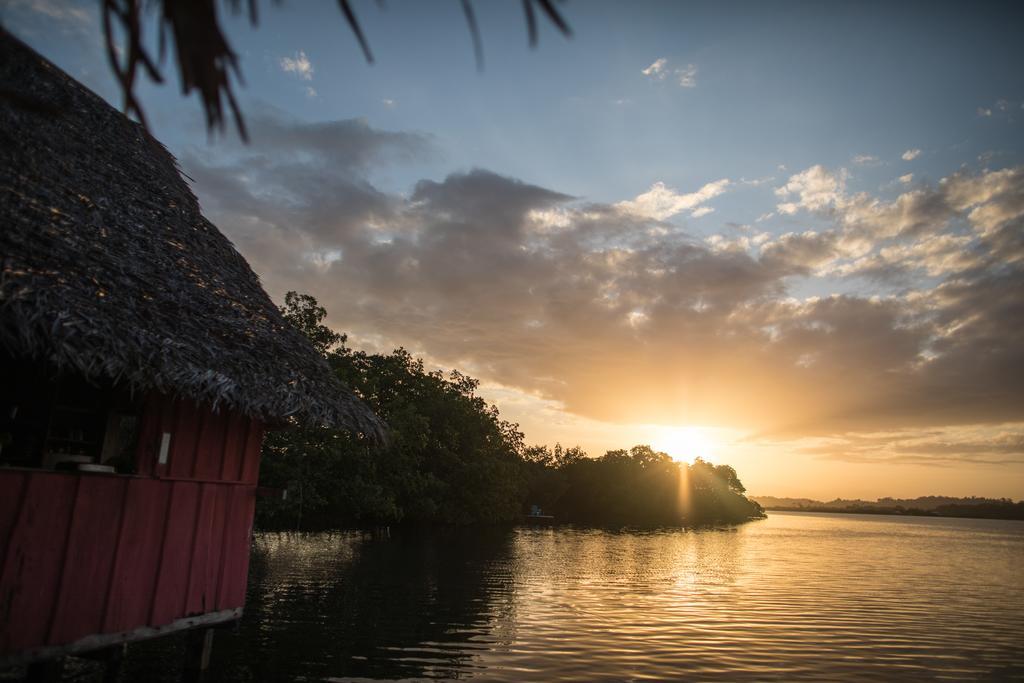 Cocovivo Hotell Bocas del Toro Exteriör bild