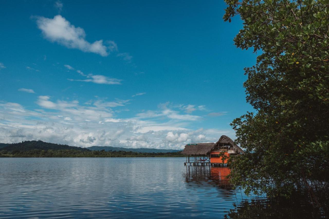 Cocovivo Hotell Bocas del Toro Exteriör bild